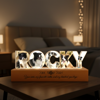 Personalized Pet Memorial Night Light, Custom Pet Photo Night Light, Custom Pet Memorial Gift, Loss Of Pet Sympathy Gift, Dog Loss Gift