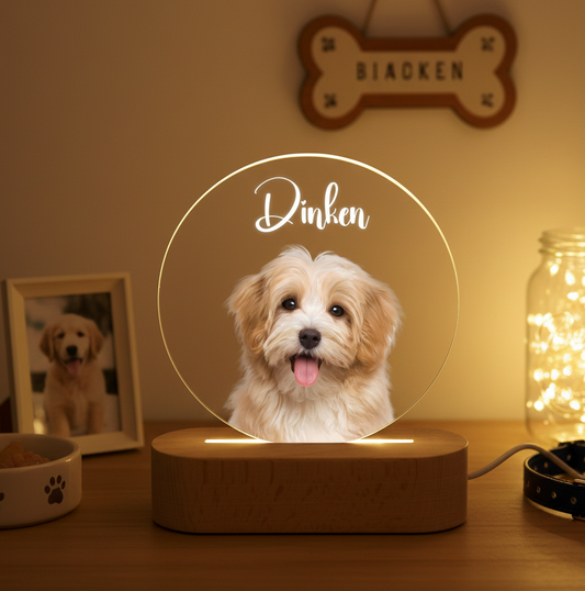 Custom Dog Photo Night Light,Pet Memorial Gift Plaque,Pet Loss Sympathy Gifts,Cat Picture Night Lamp,Pet Memorial Gifts,Gifts For Pet Lover