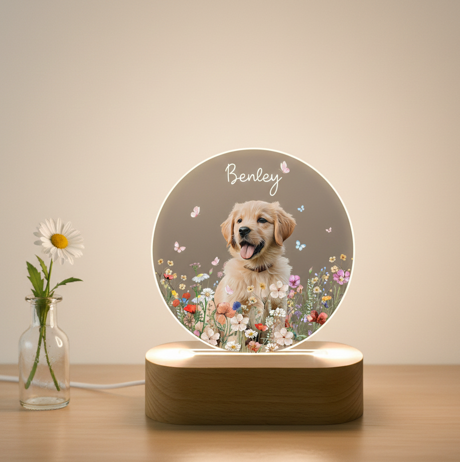 Custom Pet Portrait Night Light, Pet Memorial Gift, Dog Mom Gift, Pet Photo Lamp, Gift For Dog Lover, Dog Loss Gift, Sympathy Gift
