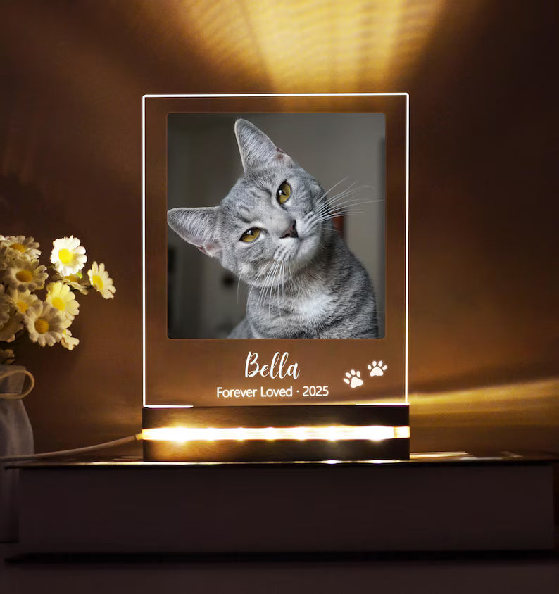 Pet Cat Dog Memorial loss Acrylic Night Light | Personalized Bedroom LED Decor Sign | Light up Sign | Gift for Pets
