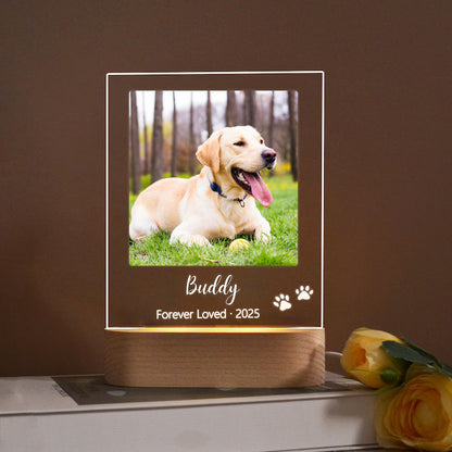Pet Cat Dog Memorial loss Acrylic Night Light | Personalized Bedroom LED Decor Sign | Light up Sign | Gift for Pets