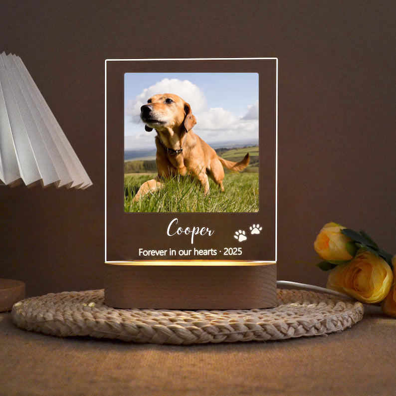 Pet Cat Dog Memorial loss Acrylic Night Light | Personalized Bedroom LED Decor Sign | Light up Sign | Gift for Pets