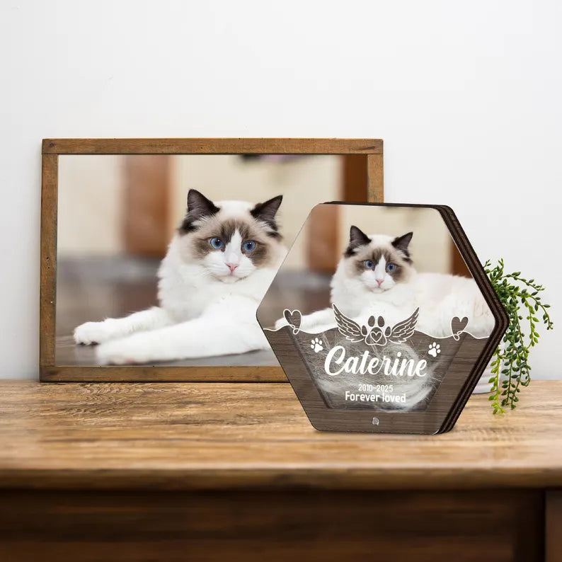 Custom Pet Hair Keepsake | Pet Hair Memorial Box | Dog Fur Keepsake | Personalized Dog Portrait Gift | Engraved Loss of Pet Gifts