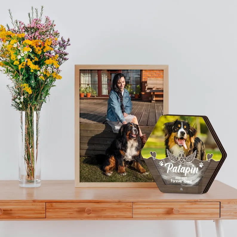 Custom Pet Hair Keepsake | Pet Hair Memorial Box | Dog Fur Keepsake | Personalized Dog Portrait Gift | Engraved Loss of Pet Gifts