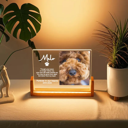 Personalized Pet Memorial Night Light - Custom LED Lamp for Pet Lovers, Perfect Remembrance Gift, Unique Memorial Decor Heartfelt Nightlight