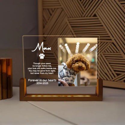 Personalized Pet Memorial Night Light - Custom LED Lamp for Pet Lovers, Perfect Remembrance Gift, Unique Memorial Decor Heartfelt Nightlight