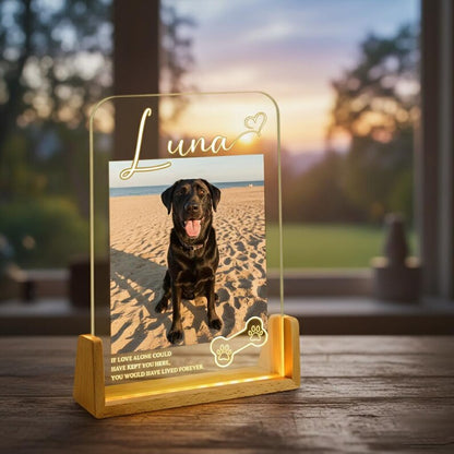 Personalized Pet Memorial LED Night Light, Custom Photo Pet Lover Night Light, Dog Keepsake Sign, Pet Loss Light Up Sign, Loss Of Dog Cat