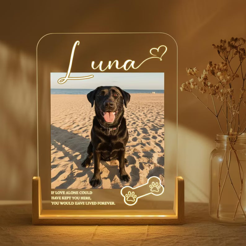 Personalized Pet Memorial LED Night Light, Custom Photo Pet Lover Night Light, Dog Keepsake Sign, Pet Loss Light Up Sign, Loss Of Dog Cat