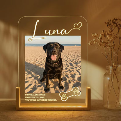 Personalized Pet Memorial LED Night Light, Custom Photo Pet Lover Night Light, Dog Keepsake Sign, Pet Loss Light Up Sign, Loss Of Dog Cat
