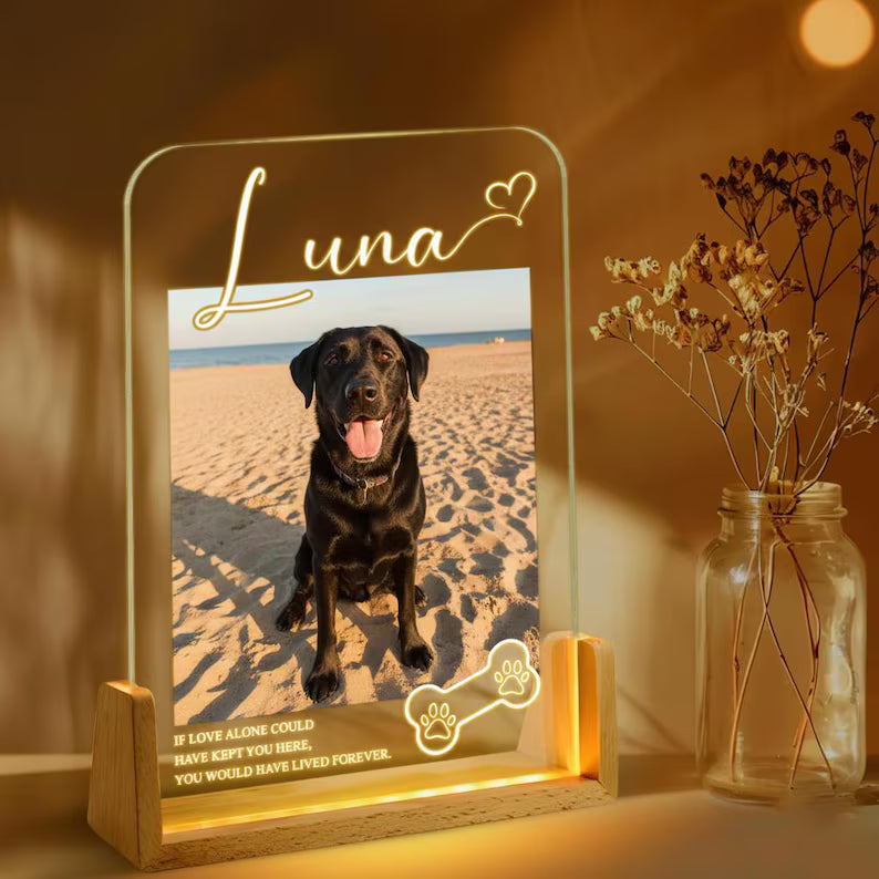 Personalized Pet Memorial LED Night Light, Custom Photo Pet Lover Night Light, Dog Keepsake Sign, Pet Loss Light Up Sign, Loss Of Dog Cat