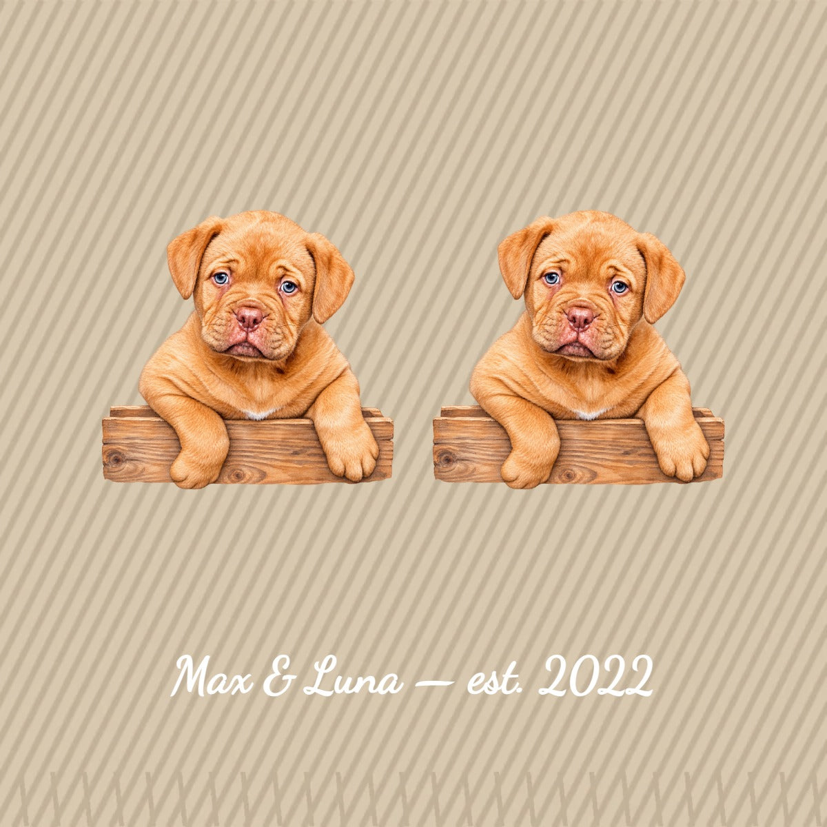 [TEST] Studio Blanket — Two Pets & Caption