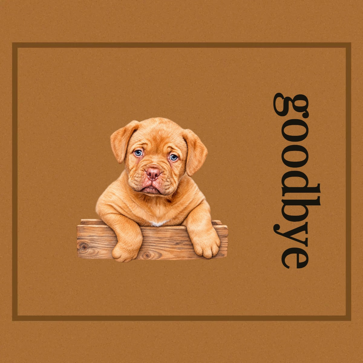 [TEST] Studio Doormat — Custom Pet & Message