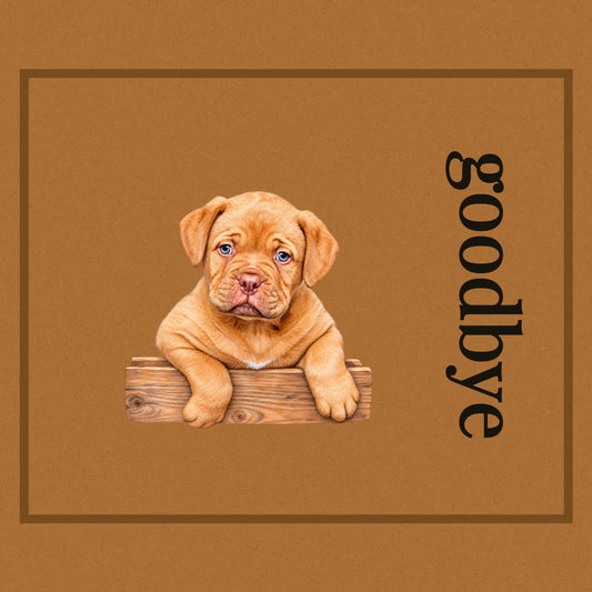 [TEST] Studio Doormat — Custom Pet & Message