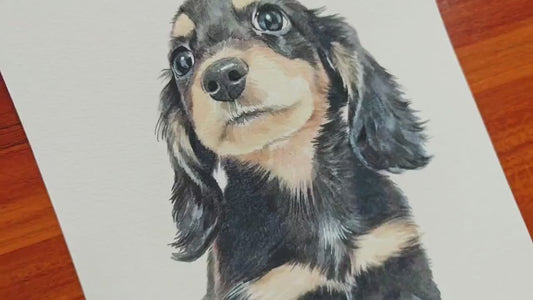 100% Handmade Watercolor Pet Portrait, Dog Portrait, Cat Portrait, Custom Pet Portrait from Photo, Watercolor Pet Painting, Hand Drawn Pet