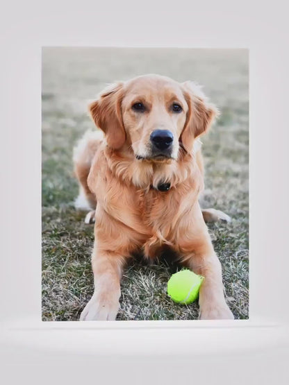 Custom Dog Photo Canvas Print – Pet Portrait Wall Art, Ready to Hang