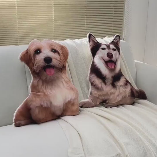 Etsy 4544744321 — pet pillow — product video