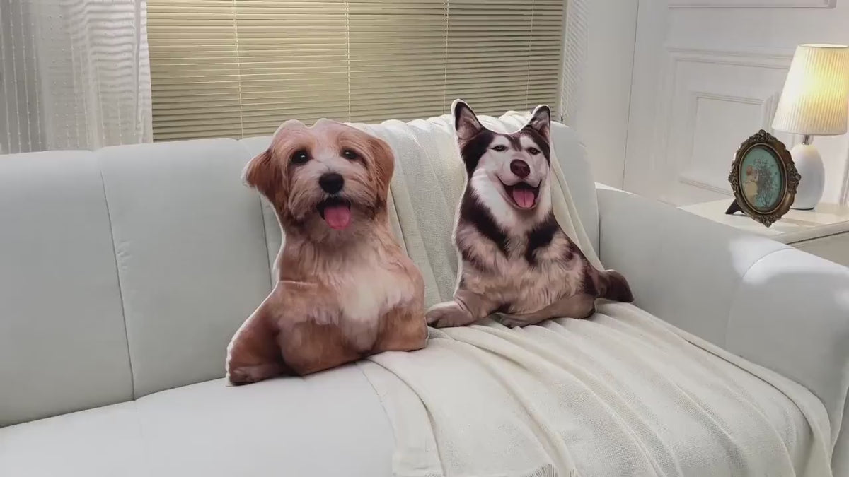 Etsy 4544744321 — pet pillow — product video