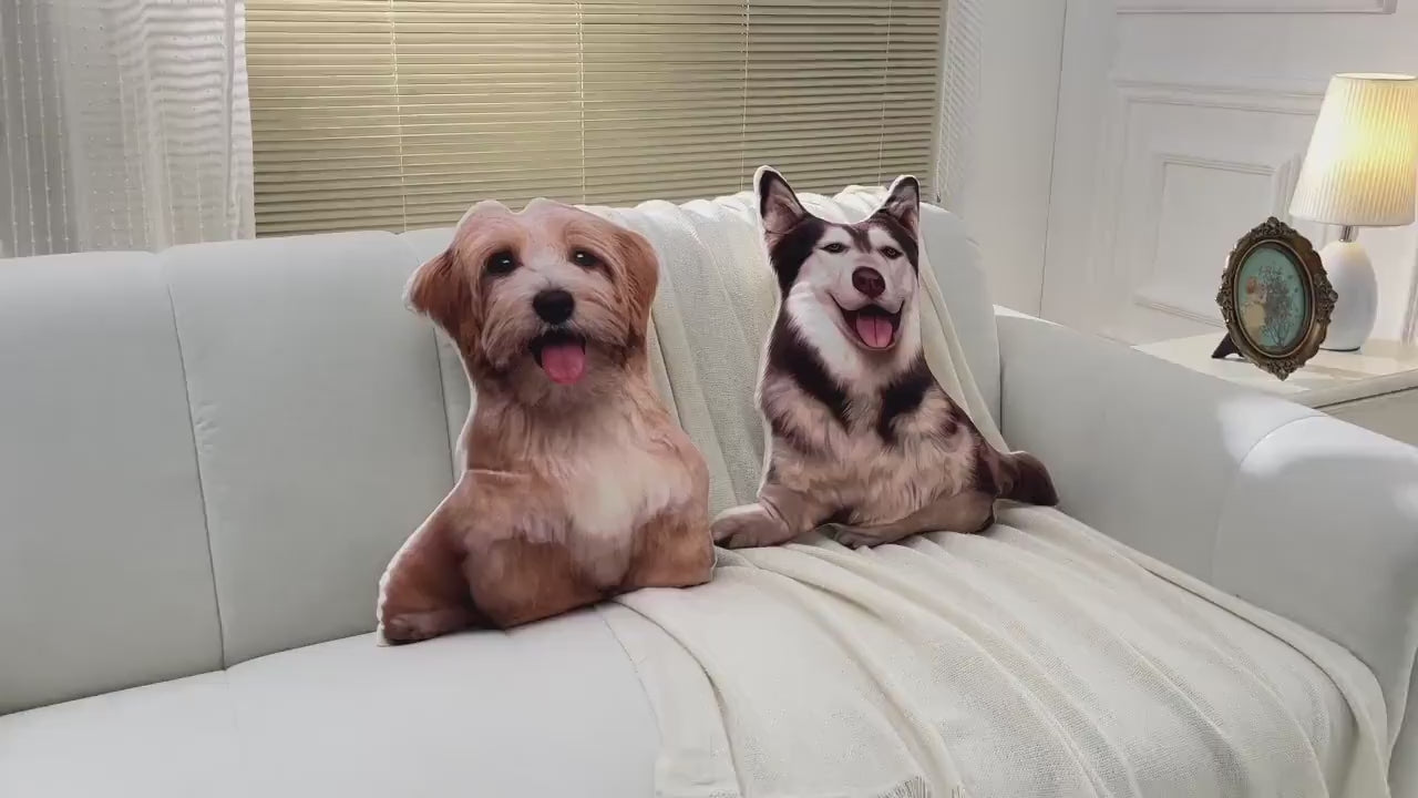 Etsy 4544744321 — pet pillow — product video