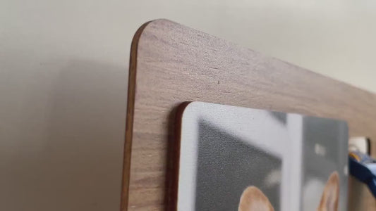 Dog Memorial Frame, Dog Collar Holder, Cat Loss Gift, Custom Plaques, Memorial Plaque, Personalized Gift, Custom Pet Photo MP02