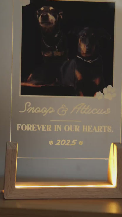 Personalized Pet Memorial LED Night Light,Light Up Pet Loss Frame,Pet Photo Light,Dog Loss Gift,Pet Memorial Gift, Dog Sympathy Gift