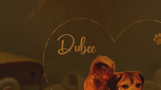 Custom 3D Pet Photo LED Lamp, Engraved Wood Base, Pet Memorial Gift