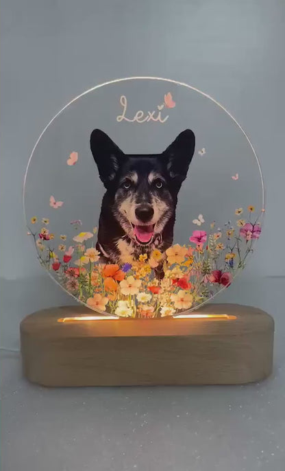 Custom Pet Portrait Night Light, Pet Memorial Gift, Dog Mom Gift, Pet Photo Lamp, Gift For Dog Lover, Dog Loss Gift, Sympathy Gift