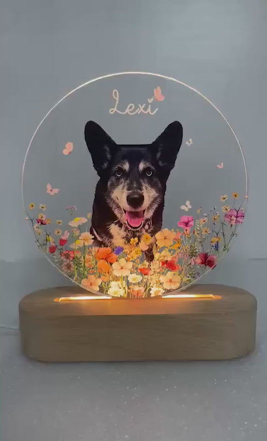 Custom Pet Portrait Night Light, Pet Memorial Gift, Dog Mom Gift, Pet Photo Lamp, Gift For Dog Lover, Dog Loss Gift, Sympathy Gift