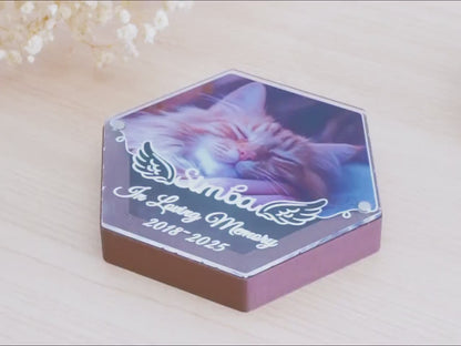 Pet Hair Keepsake Box,Custom Pet Fur Box,Dog Teeth Memorial Gift,Personalized Pet Remembrance Gift,Acrylic Box With Pet Picture,Cat Memorial