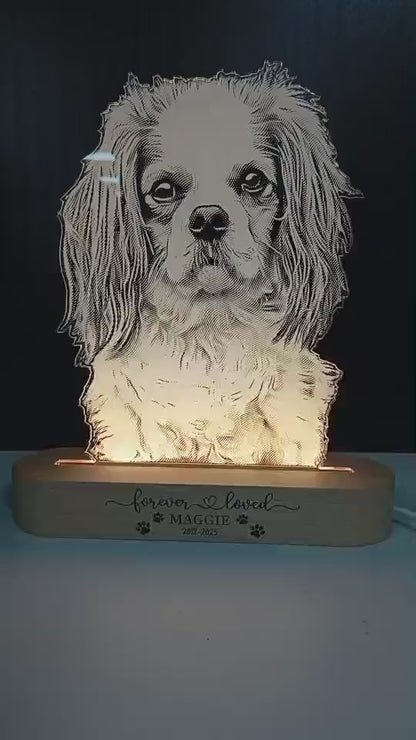 Personalized Pet Photo Night Light: Custom Dog Memorial Lamp
