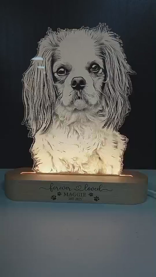 Personalized Pet Photo Night Light: Custom Dog Memorial Lamp
