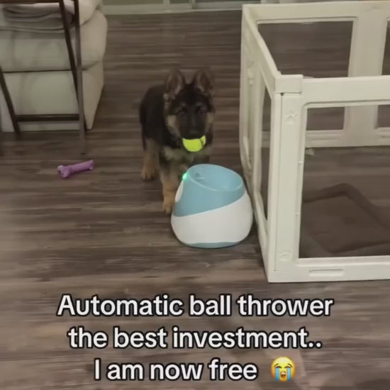 Limency blue ball launcher in action - @limency2026