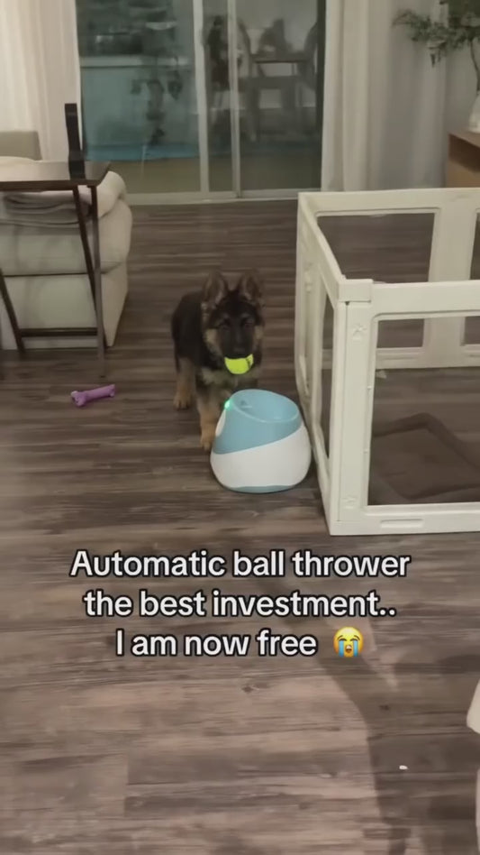 Limency blue ball launcher in action - @limency2026