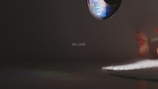 Custom Pet Memorial Hologram Ornament, Dog Memorial Gift, Pet Loss Sympathy Gift, Cat Lover Gift, Pet Remembrance Gift, Loss Of Pet Gift